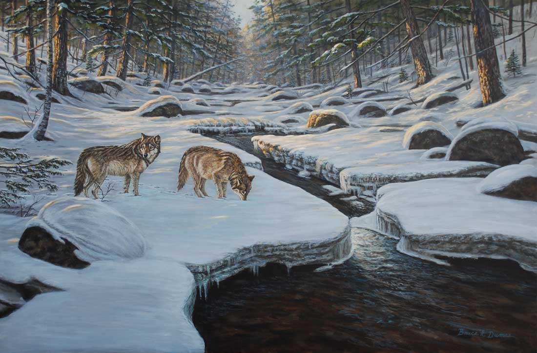 Current/Rocky-River-Wolves.jpg
