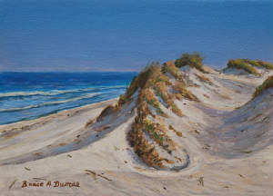 Seascapes/OuterBankDunes.jpg