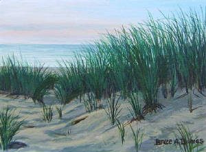 Seascapes/Race-Point-Dune.jpg