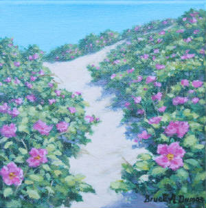 Seascapes/Rosey-Dune-Path.jpg
