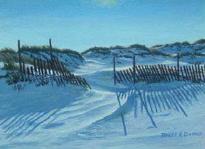 Seascapes/Snow-Dunes.jpg