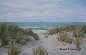 Seascapes/Venice-Dunes.jpg