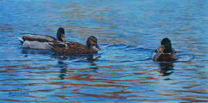 Wildlife/Autumn-Outing-Mallards.jpg