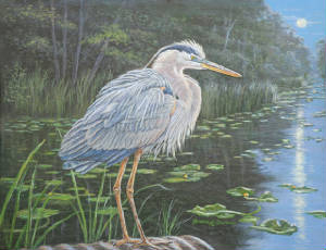 Wildlife/Blue-Heron-Moon.jpg