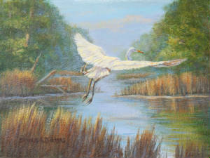Wildlife/Departing-Egret.jpg
