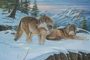 Wildlife/Vantage-Point-Wolves.jpg